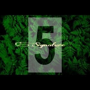 Meet your Posher, Brielle